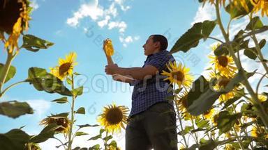 男人手里拿着一个塑料瓶，<strong>葵花油</strong>站在田野里的生活方式。 慢动作视频。 向日葵